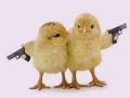 naked_chicks_with_guns