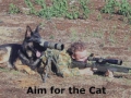 perfect_hunting_dog