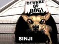 sinji